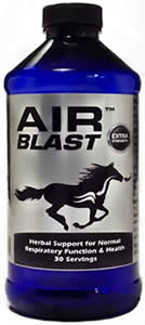 Air Blast 16oz