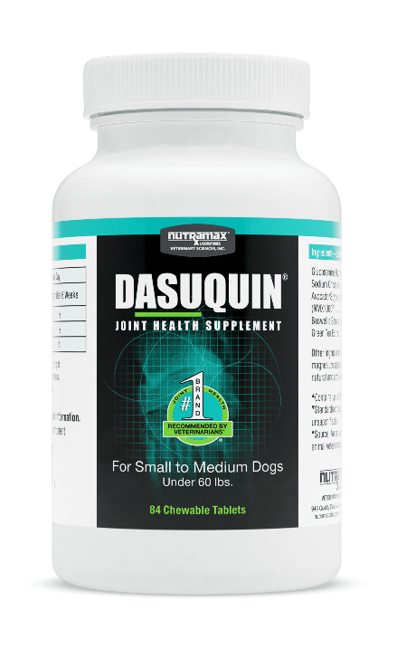 Nutramax Dasuquin® Joint Health Supplement for Small & Medium Dogs, 84 Chewable Tablets.