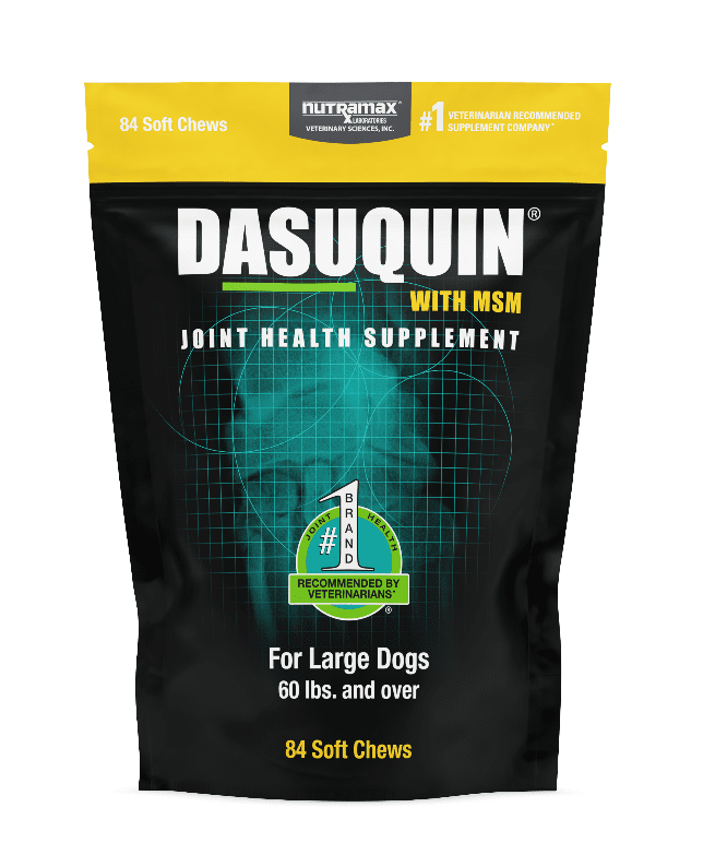 Nutramax Dasuquin® Joint Health Supplement with MSM for Large Dogs, 84 Soft Chews.