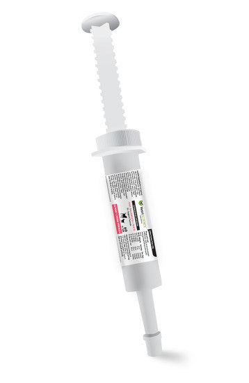 Fast Balance Paste 35cc