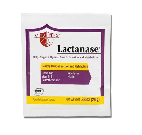 Lactanase Packet 25gm