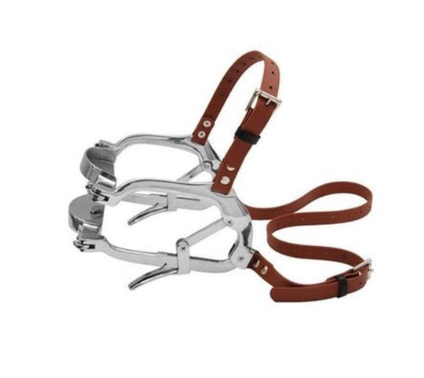 Millennium Equine Speculum