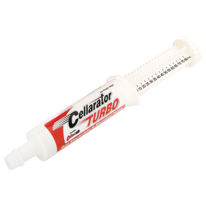 Cellarator Turbo Paste 80cc
