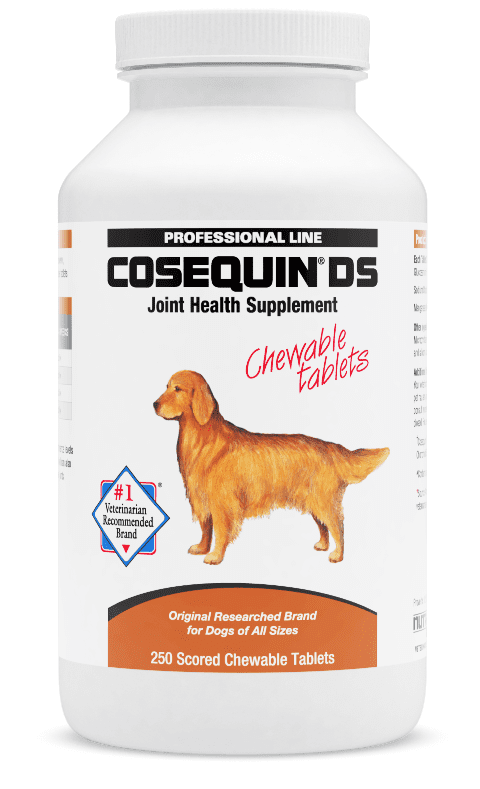 Nutramax Cosequin DS Joint Health Supplement for Dogs 250 Chewable Tablets