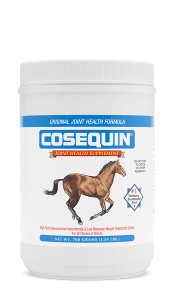 Nutramax Cosequin Original Joint Health Supplement for Horses, 700 Grams