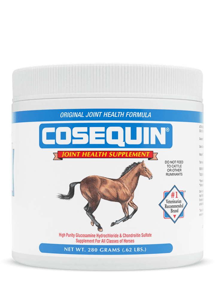 Nutramax Cosequin Original Joint Health Supplement for Horses, 280 Grams
