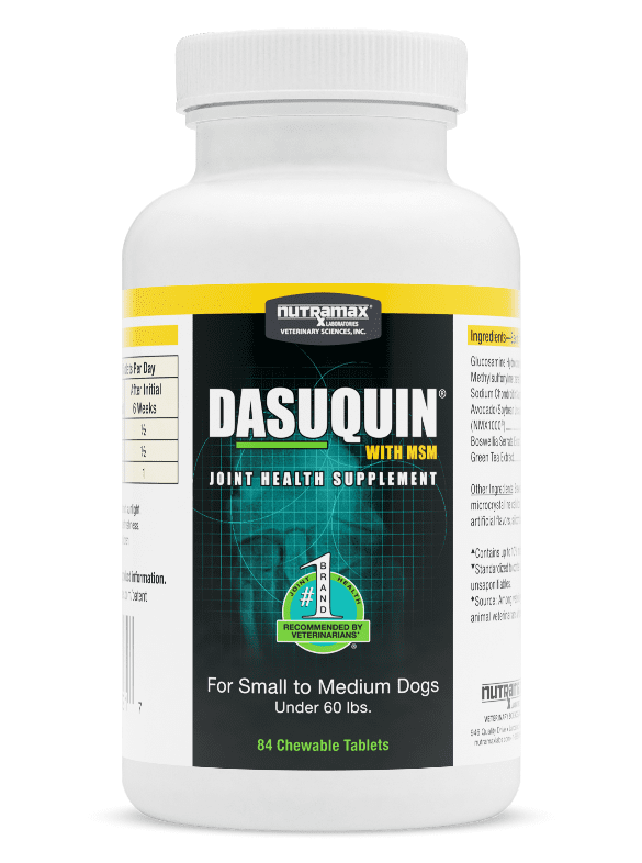 Nutramax Dasuquin® Joint Health Supplement with MSM for Small to Medium Dogs, 84 Chewable Tablets.