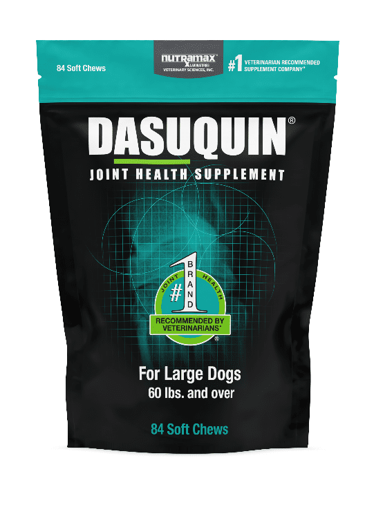 Nutramax Dasuquin® Joint Health Supplement For Large Dogs, 84 Soft Chews.