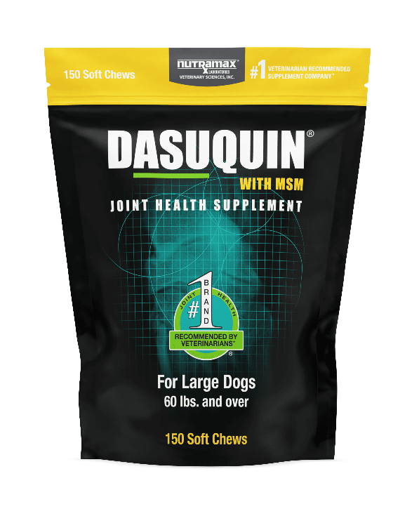 Nutramax Dasuquin® Joint Health Supplement for Large Dogs, 150 Soft Chews.