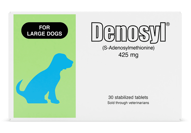 Nutramax Denosyl® Liver and Brain Health Supplement Large Dogs 30 Tablets.
