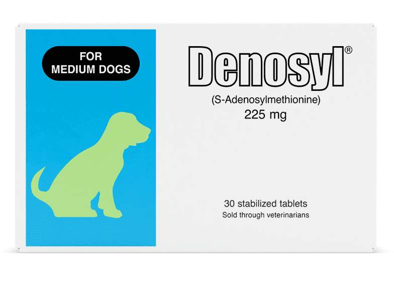 Nutramax Denosyl® Liver and Brain Health Supplement for Medium Dogs, 30 Tablets