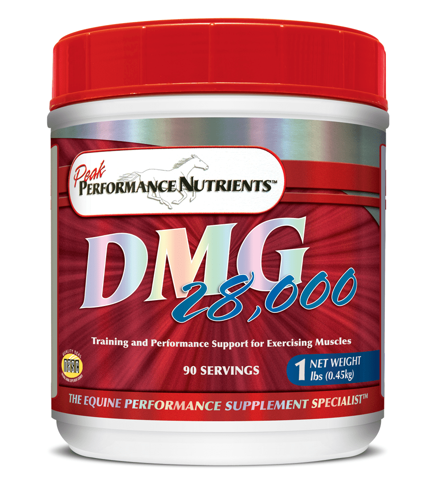 DMG 28,000 1lb Tub