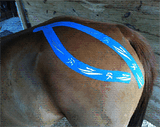 Equi-Tape for Horses