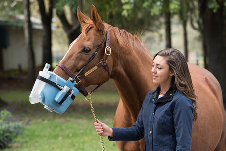 Flexineb E3 Equine Nebulizer Kit