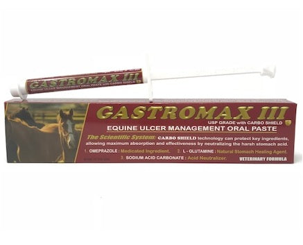 GastroMax3 Paste 9gm