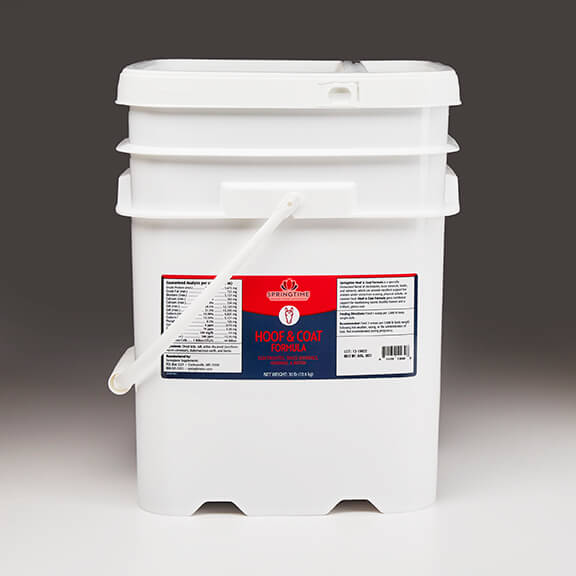 Springtime Hoof & Coat Formula 30LB