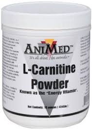 L-Carnitine Powder 16oz