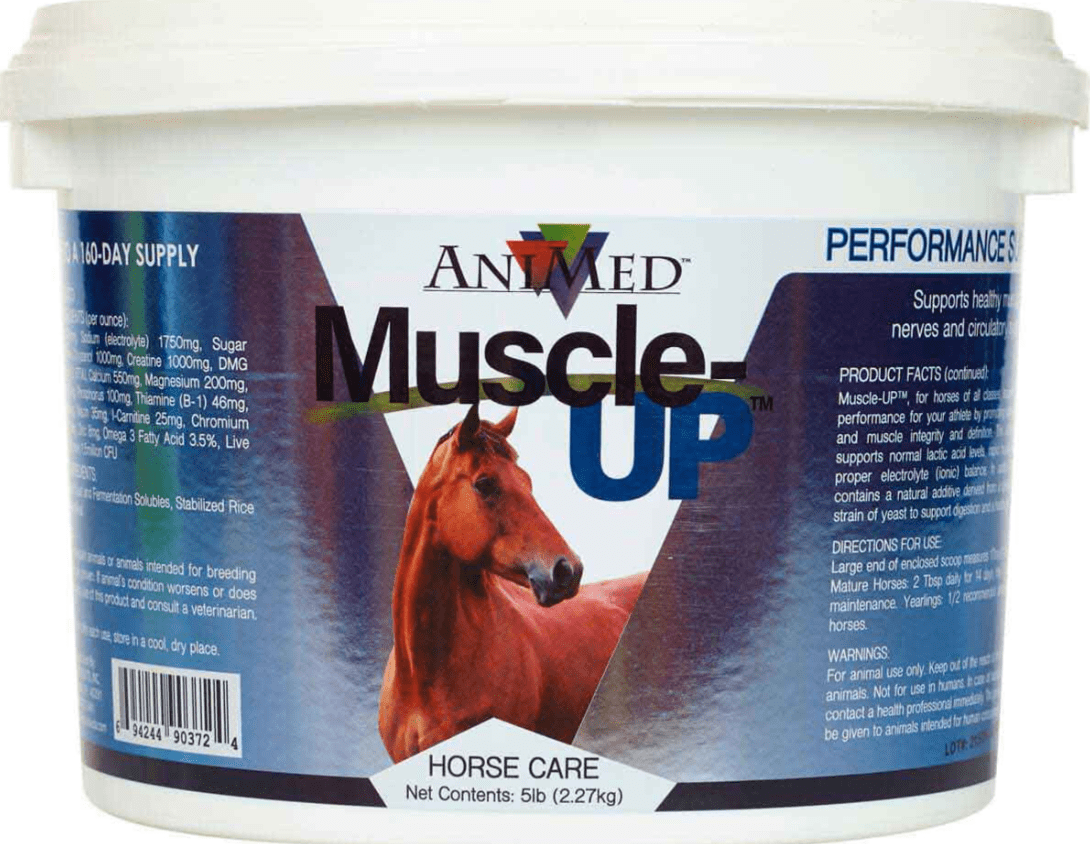 Musclup Muscle Up for Horses 5lb – ALLVET SUPPLY