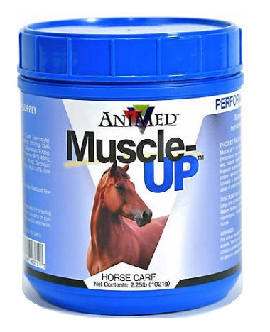 Muscle-Up Powder 2.25lb