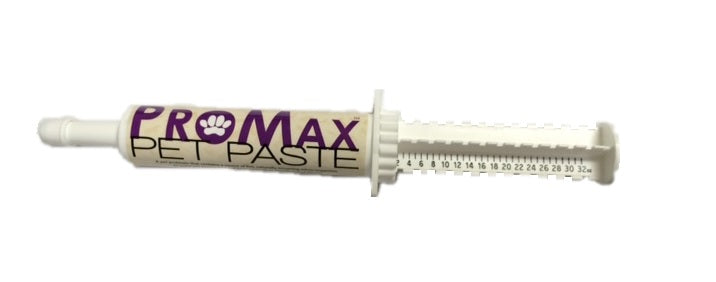 Promax Paste 32cc