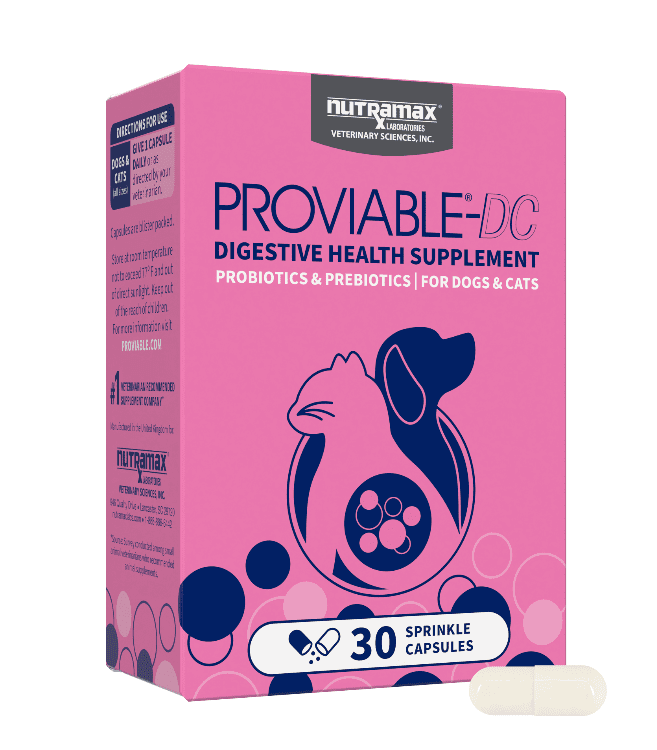 Nutramax Proviable® Digestive Health Supplement for Cats & Dogs, 30 Capules