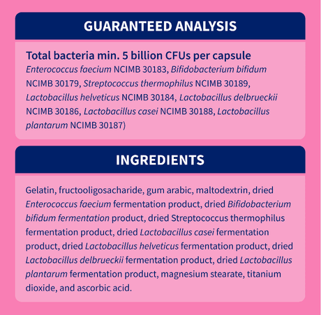 Nutramax Proviable® Digestive Health Supplement for Cats & Dogs, 30 Capules