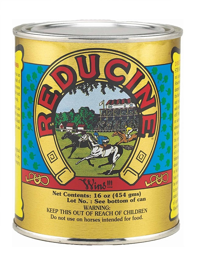 Reducine Absorbent 16oz