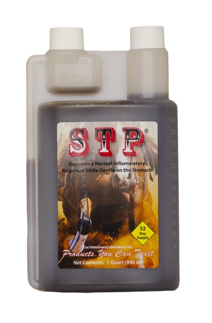 STP Liquid for Horses 32oz